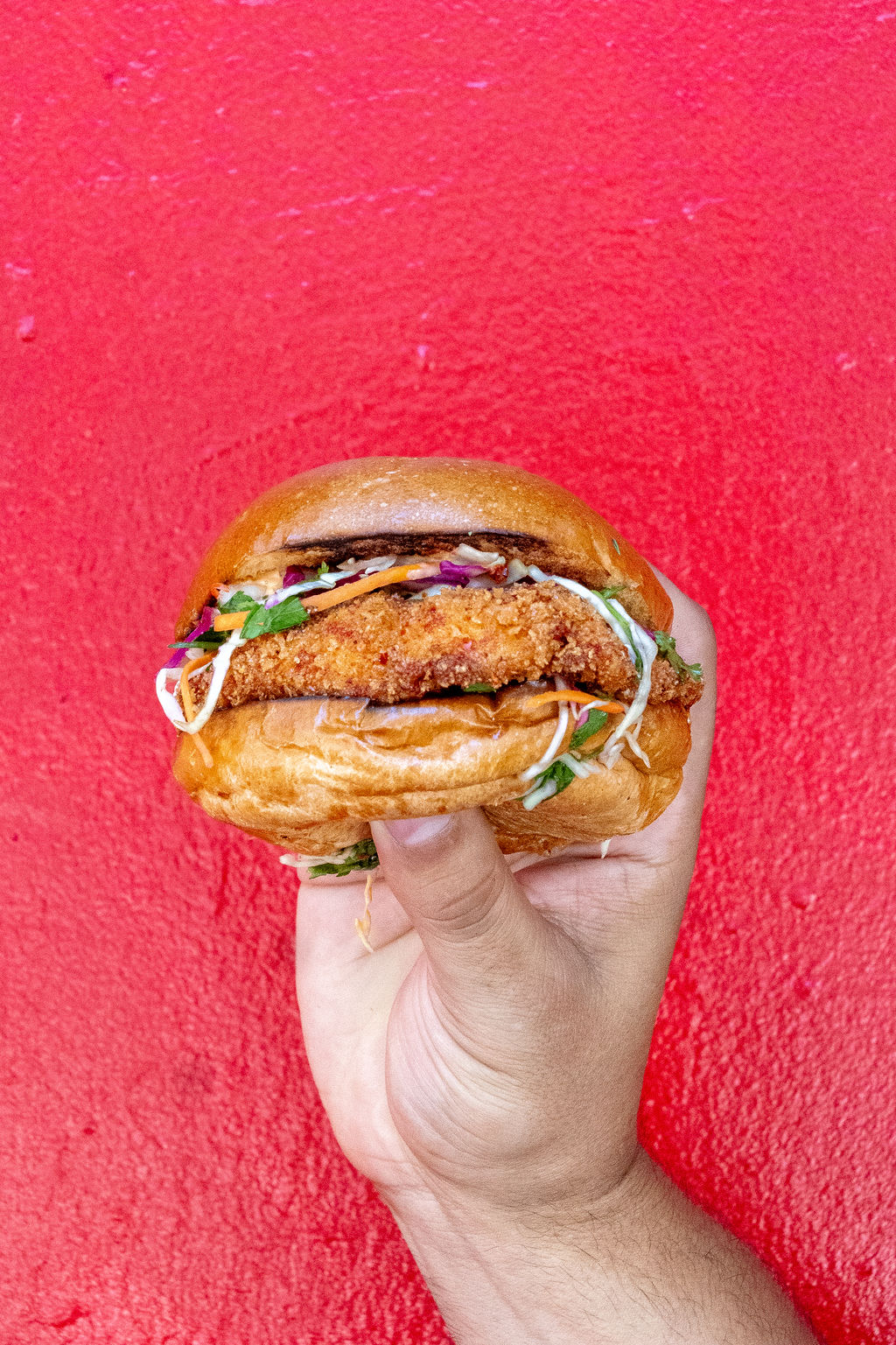 Fried chicken sandwich, close-up